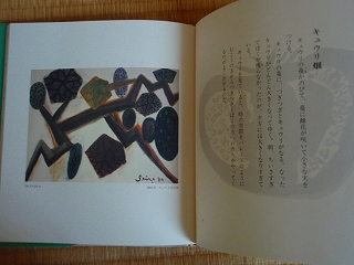 e0004756_20355711.jpg