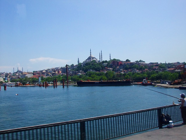 a0104162_6575137.jpg