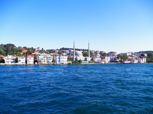 a0104162_712740.jpg