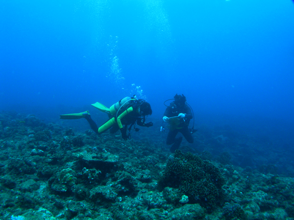 b0062363_722545.jpg