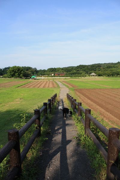 a0100564_2035633.jpg