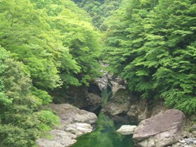 e0197164_1651438.jpg