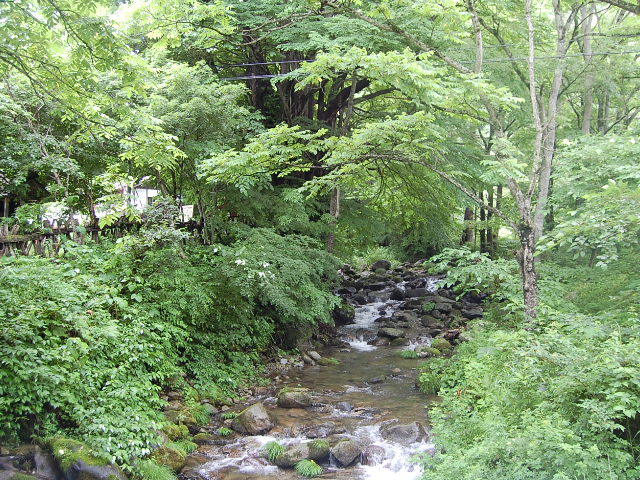 a0038370_11213981.jpg
