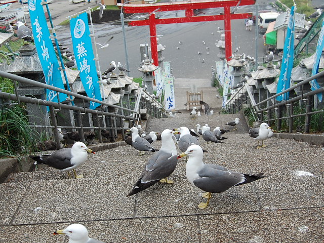 a0038370_11442430.jpg
