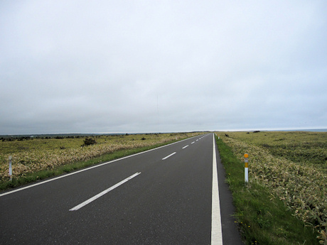 e0169970_13462655.jpg
