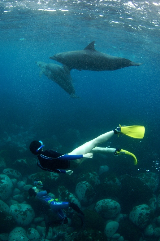 c0181073_6284973.jpg