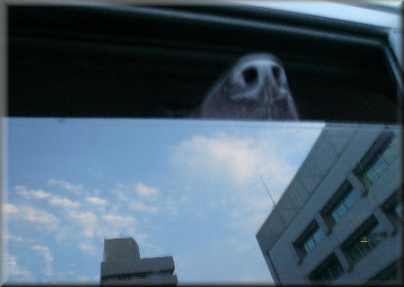 e0099375_013878.jpg