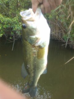 c0229377_1839078.jpg