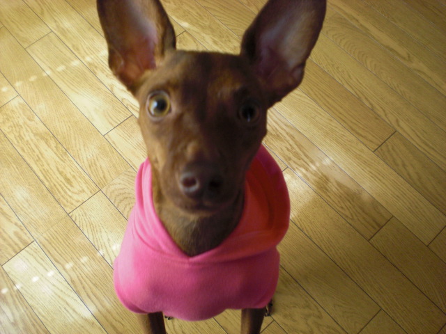 c0228378_6303836.jpg