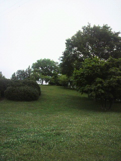 f0016981_2554486.jpg