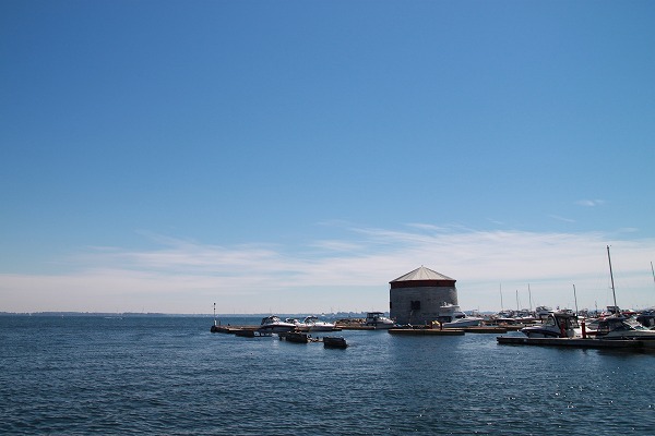 f0238184_1144117.jpg
