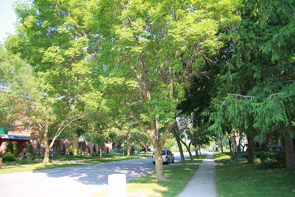f0238184_2462766.jpg