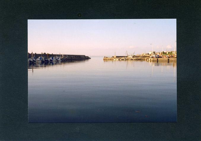 c0046587_2363559.jpg