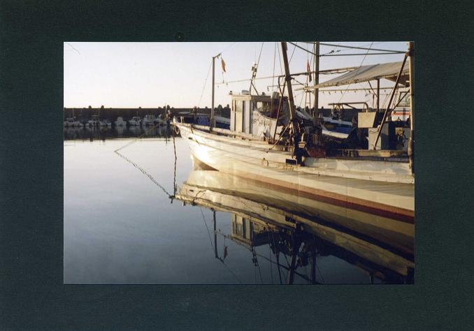 c0046587_237689.jpg