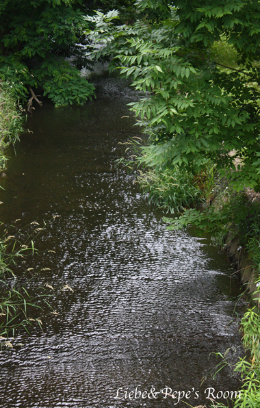 f0001895_1539119.jpg