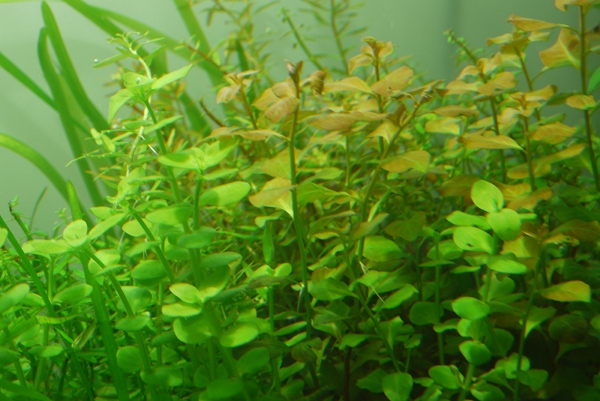 c0225297_6513443.jpg