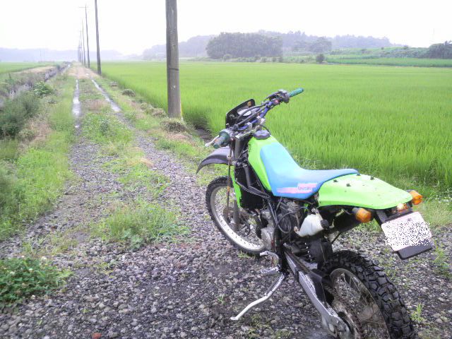 d0087497_20131465.jpg