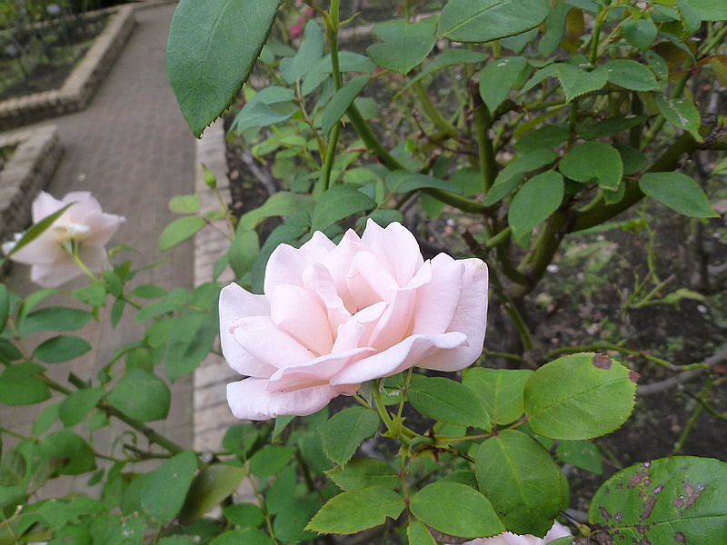 c0138198_14494010.jpg