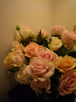 f0191500_634742.jpg