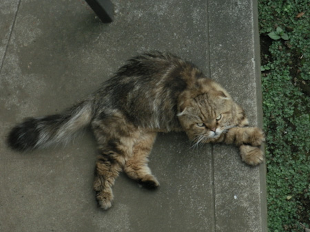 f0239100_1615040.jpg