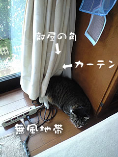 c0035001_14594189.jpg