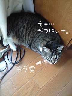 c0035001_14594966.jpg