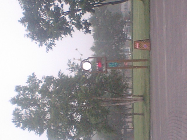 f0020302_5203350.jpg
