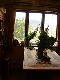 d0165505_0514338.jpg