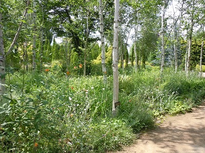 c0117007_2155319.jpg