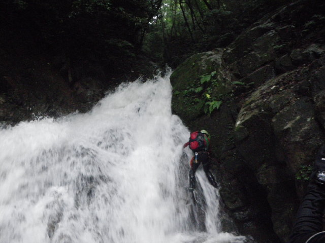 d0006512_23539100.jpg