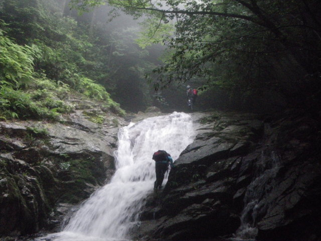 d0006512_2358173.jpg