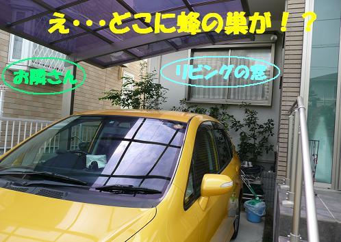 f0121712_1533695.jpg