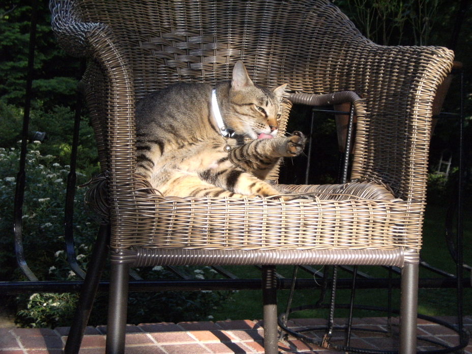 c0029913_0132663.jpg
