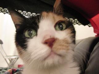 c0201113_21153497.jpg
