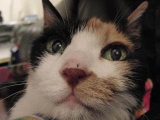 c0201113_21173280.jpg