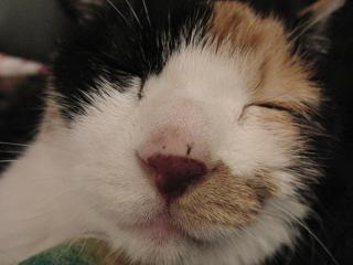 c0201113_2118367.jpg