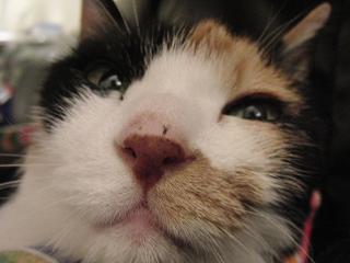 c0201113_2120289.jpg