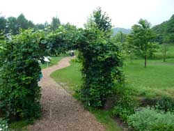 d0135814_23201945.jpg