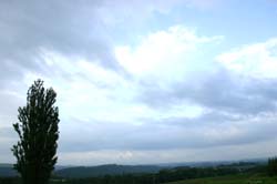 d0135814_2372396.jpg