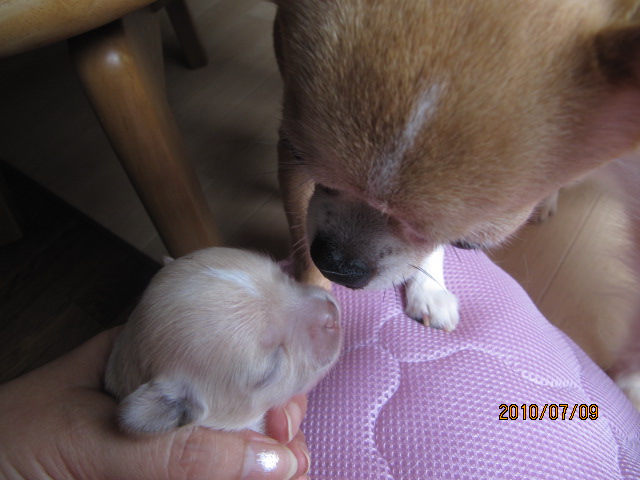 c0200916_0124656.jpg