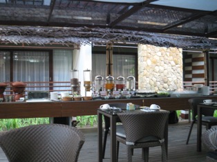 d0038319_13336.jpg