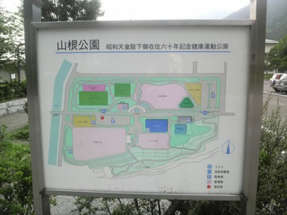 d0167422_100286.jpg