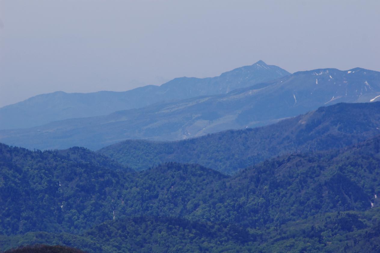 b0062024_9265016.jpg