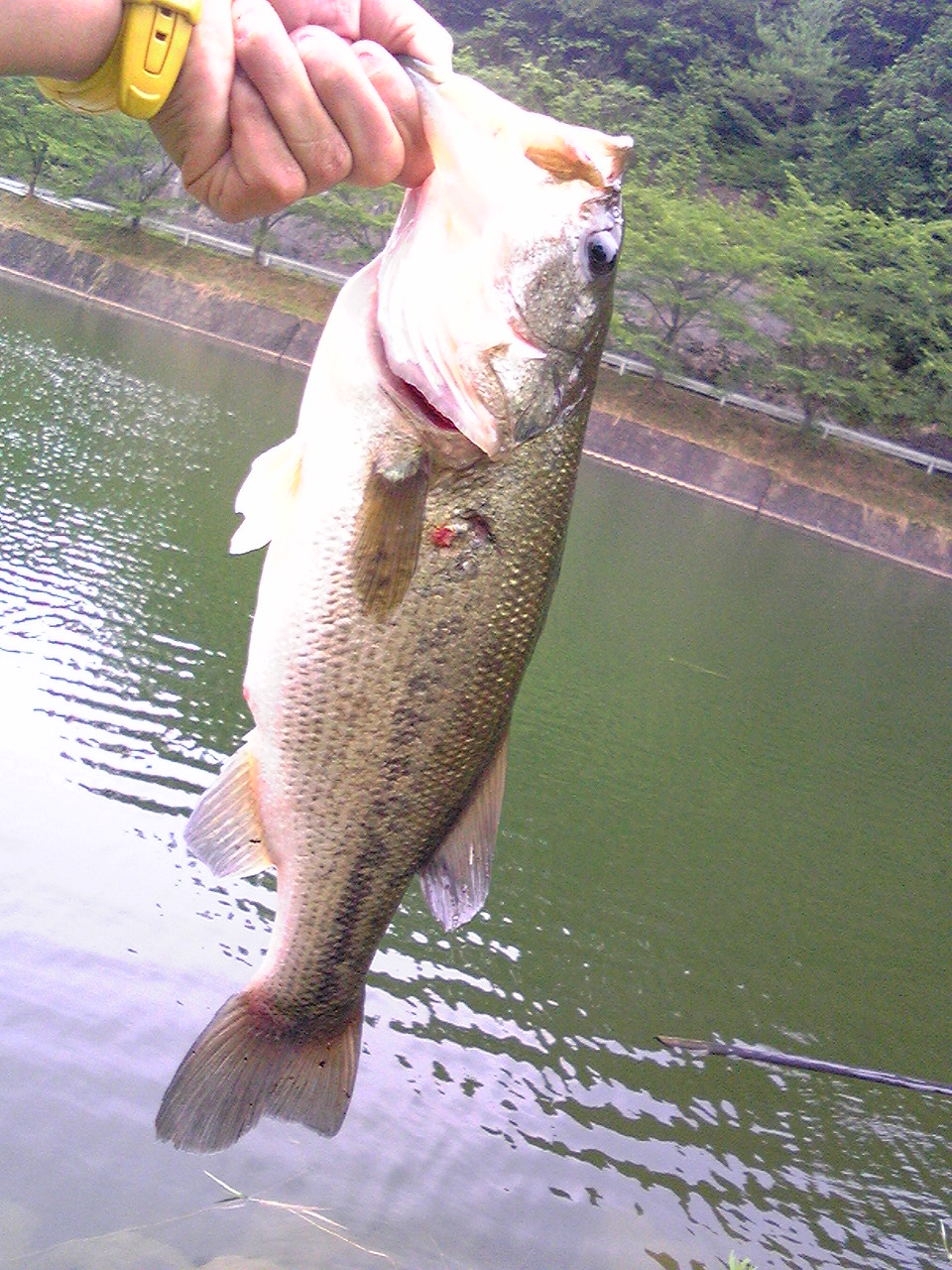 c0194624_1853651.jpg