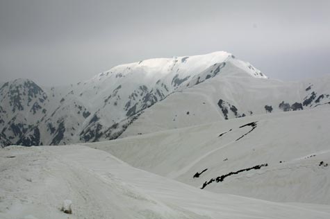f0137324_20261247.jpg