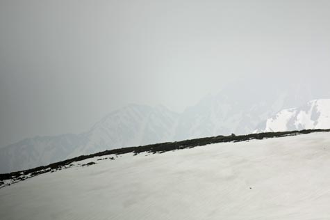 f0137324_2026368.jpg