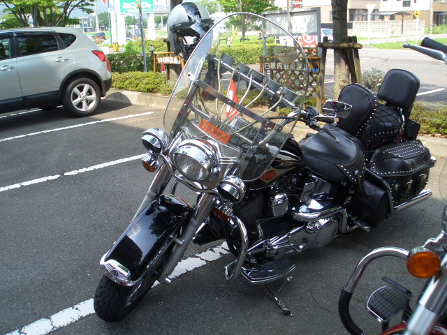 a0099129_22384741.jpg