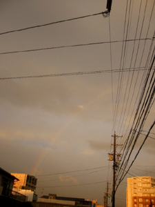 d0040729_0293548.jpg