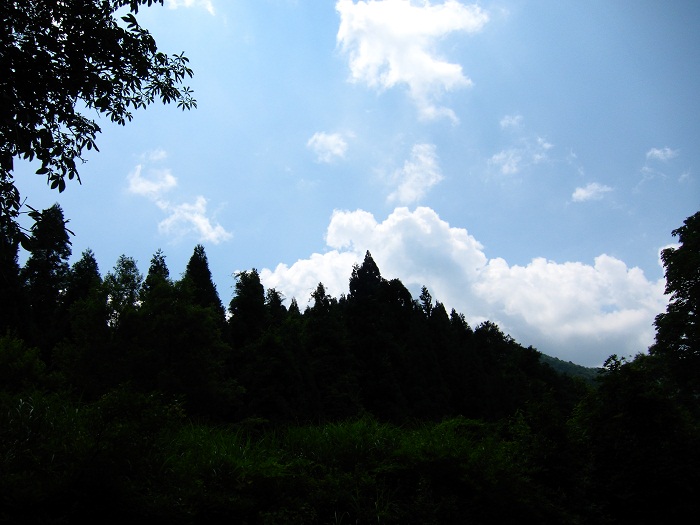 c0090530_1832597.jpg