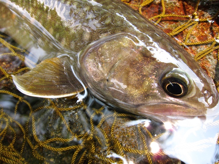 c0090530_1934567.jpg